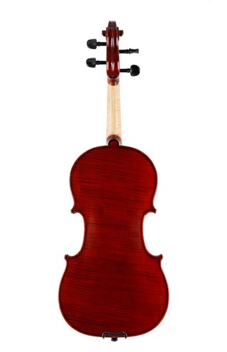 Violino professionale fatto - , a