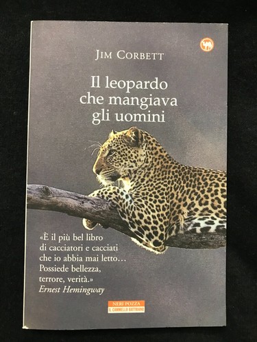 Leopardo che mangiava - leopardo,