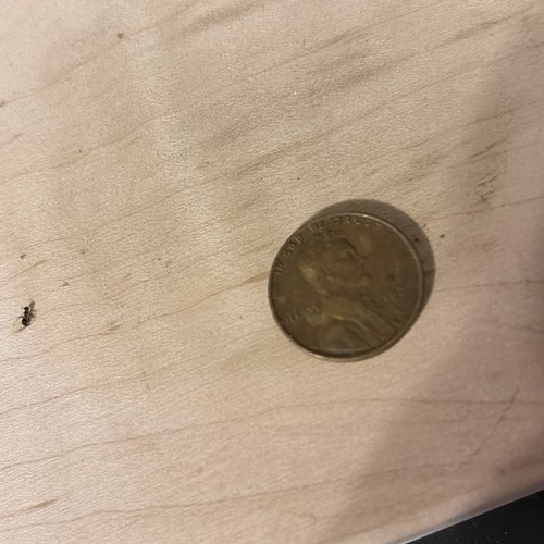 One cent penny coin - penny, "one