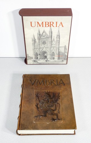 Libro collezione umbria - collezione,