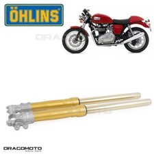 TRIUMPH Thruxton forcella oro OHLINS FG 620 43 retrò