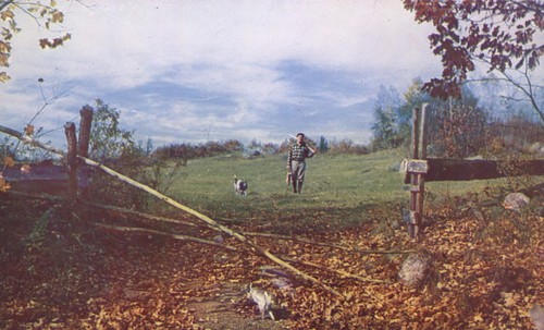 Cartolina uomo con - uomo, cane