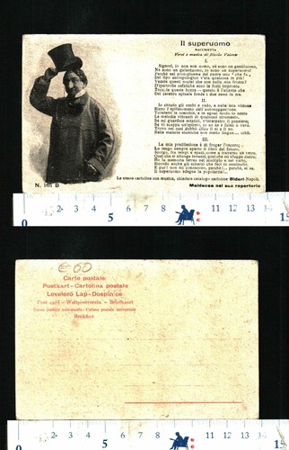 Maldacea nicola - maldacea,