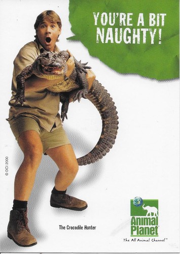 The crocodile man - crocodile, advertising