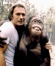 CLINT EASTWOOD 8X10 GLOSSY