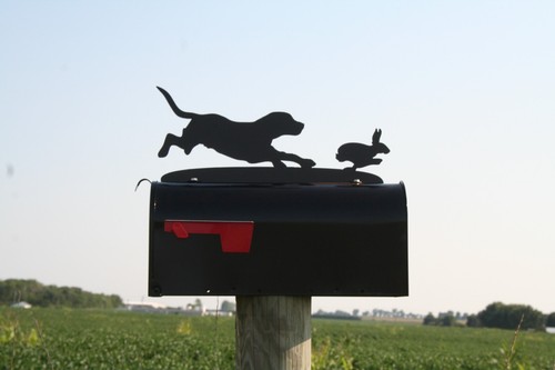 Beagle hunting dog - beagle, chasing
