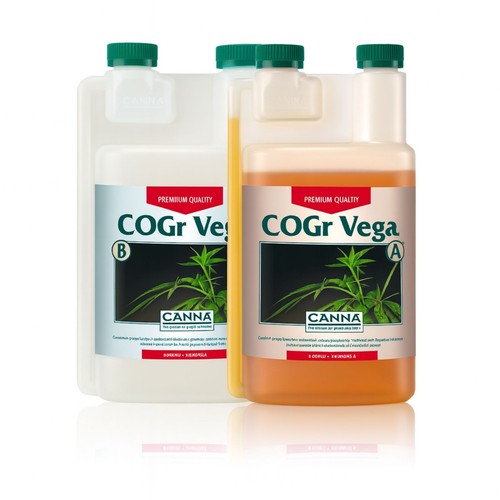 Canna cogr vega - canna, a&b