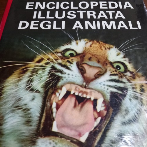 Libro enciclopedia illustrata - libro,