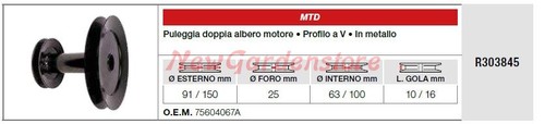 Puleggia doppio albero motore