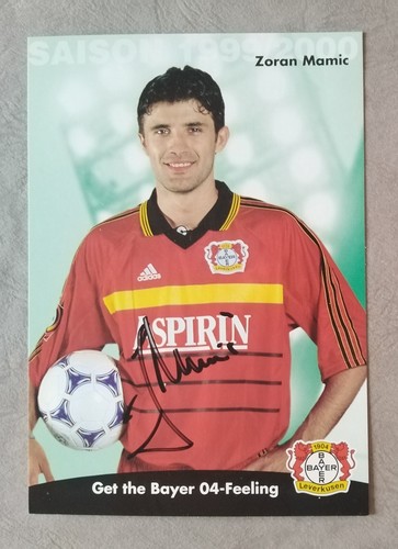 13629 zoran mamic bayer - 13629,