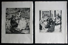 ELFRIEDE PLAICHINGER COLTELLI