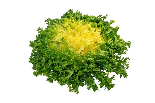 1000 semi insalata indivia - di,