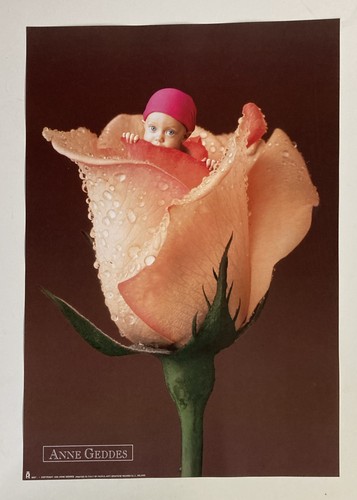 Ann geddes bambino fiore - ann, geddes,