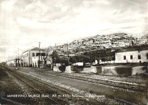Da1111 cartolina minervino - da1111,