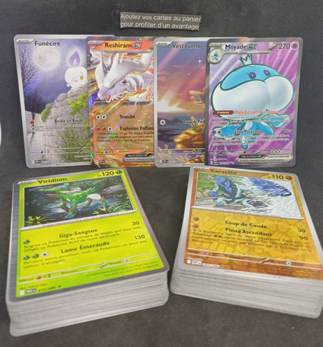 Aux choix carte - choix, pokémon