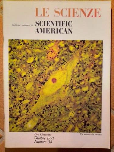 Scienze scientific - scienze, (scientific