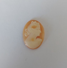 Cammei Camei Cameos Conchiglia