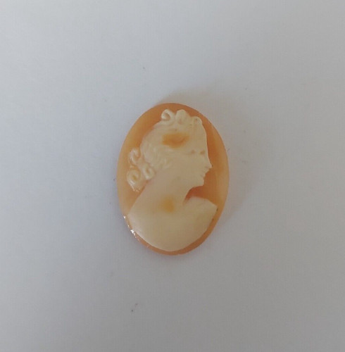 Cammei camei cameos conchiglia - cammei,