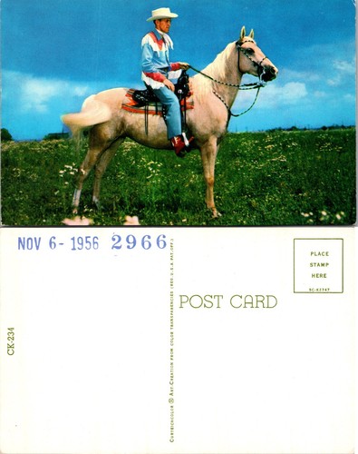 Cartolina cowboy cavallo - cowboy, su