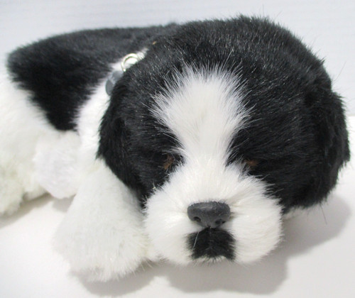 Petzzz border collie - border,