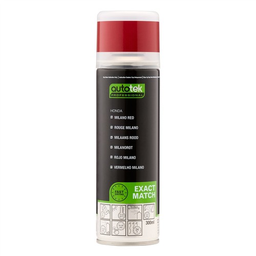 Vernice spray aerosol