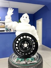 CERCHIO IN FERRO PSW