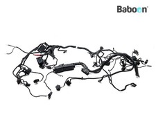 Cablaggio BMW F 700 GS (F700GS