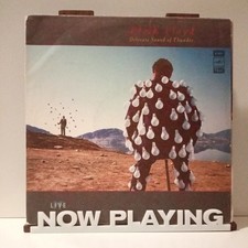 Pink Floyd Delicate Sound of