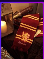 Harry potter casa grifondoro - potter,