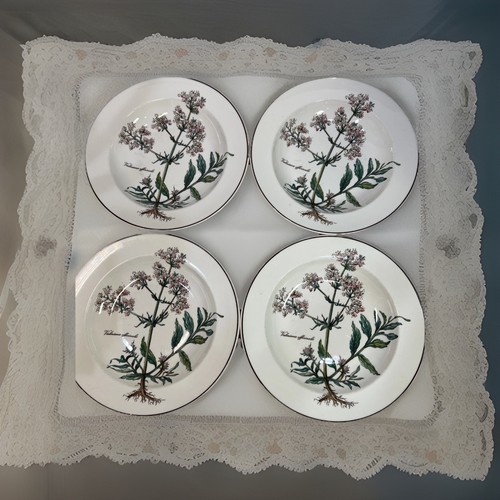 Villeroy boch botanica - &,