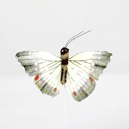 Modellato luce farfalle - luce,