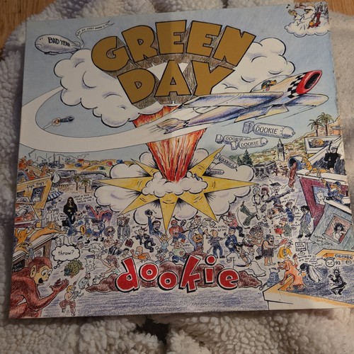 Green day dookie vinyl record - green,