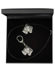 Deutsch Drahthaar - Set - Il