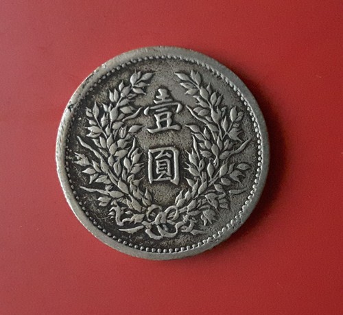 Medaglia souvenir yuan - medaglia,