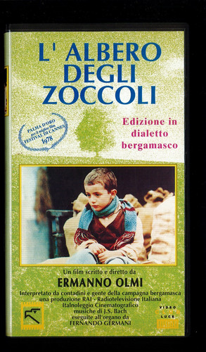 Albero degli zoccoli - degli,