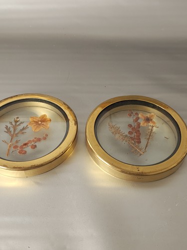 Coppia quadretti fiori reali - fiori,