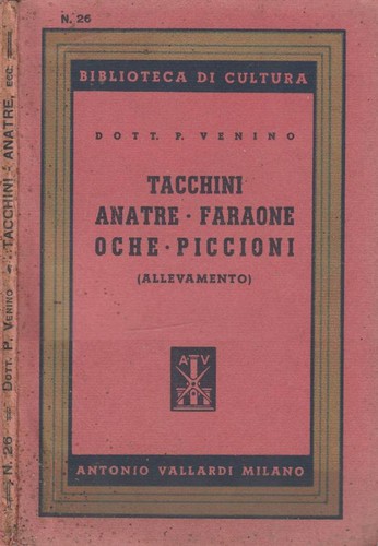 Tacchini anatre faraone - tacchini,,
