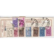 PACCHI RUOTA 1000L CAVALLINO