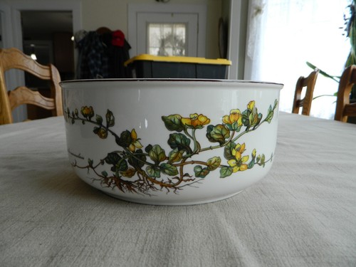Villeroy boch botanica - boch, "botanica"