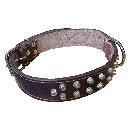 Collare per cane larg - mm, 40