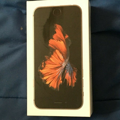Iphone grigio siderale 32g - grigio,