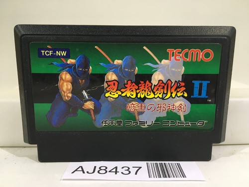 Ninja gaiden ryukenden - ninja,