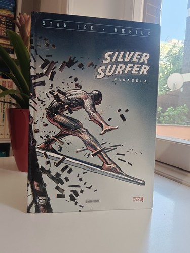 Silver surfer parabola stan - silver,