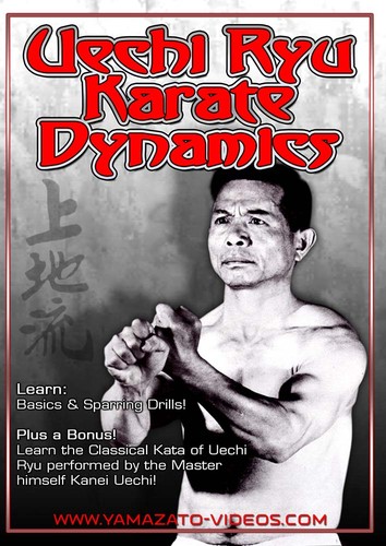 Uechi ryu karate - karate, dynamics