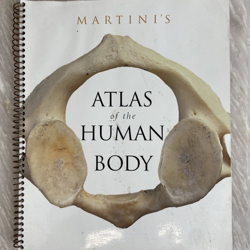 Martini atlas human body - martini's,
