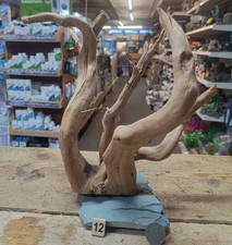 Radice in legno di palude