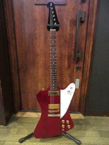 Gibson 1981 firebird cherry - 1981,