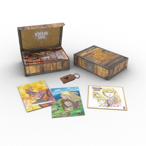 Vinland saga celebration - saga,