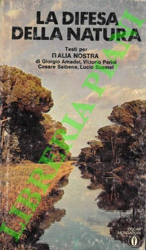 Amadei parisi v - g.,