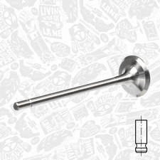 Valvola di Sfogo per Renault